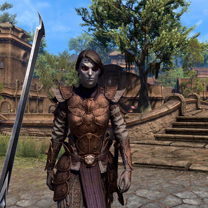 The Elder Scrolls Online Morrowind PS4