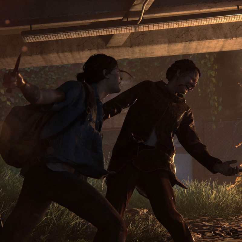 The last Of Us II PS4 Standard Edition