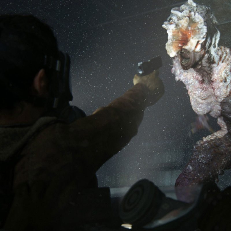 The last Of Us II PS4 Standard Edition
