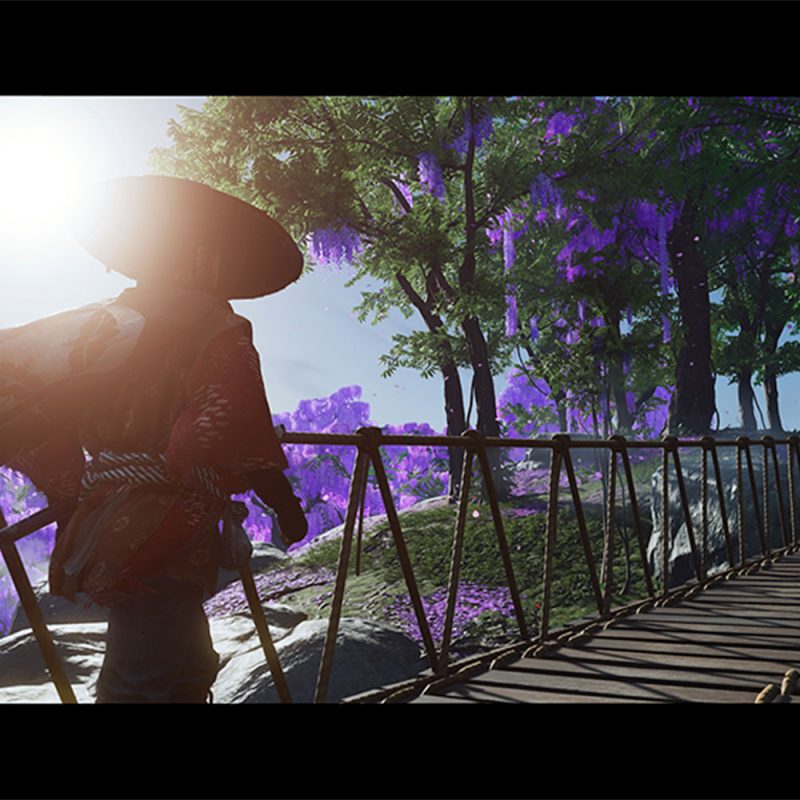 Ghost of Tsushima Director's Cut Ps5