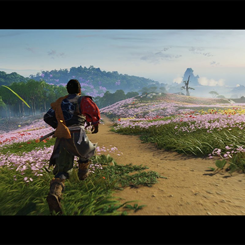 Ghost of Tsushima Director's Cut Ps5