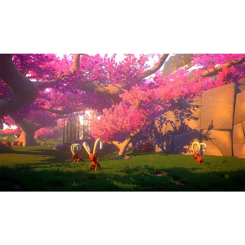 Yonder The Cloud Catcher Enhanced Edition PS5