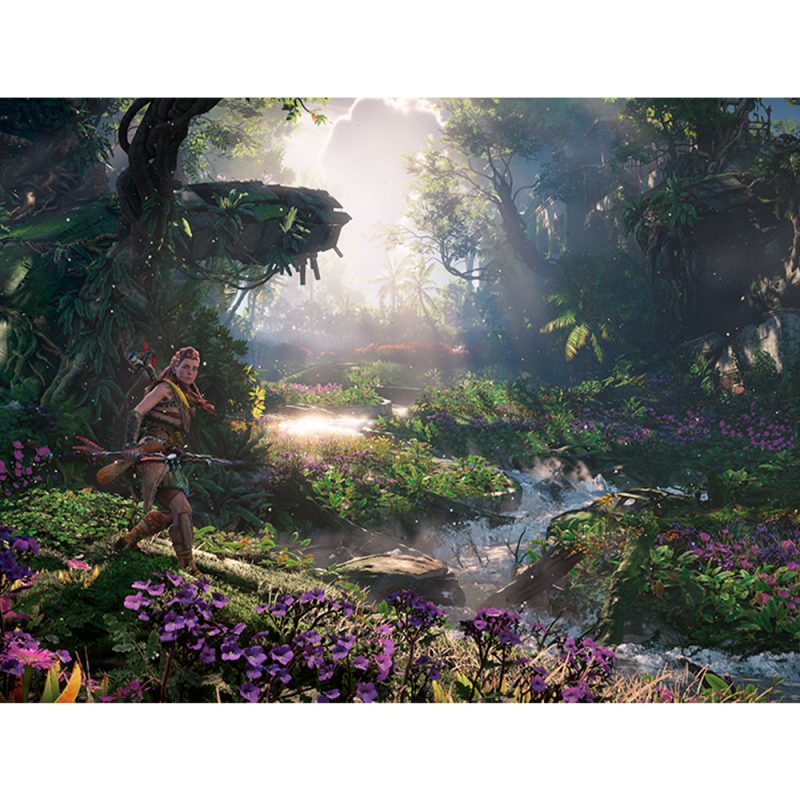 Horizon Forbidden West PS5 Standard Edition