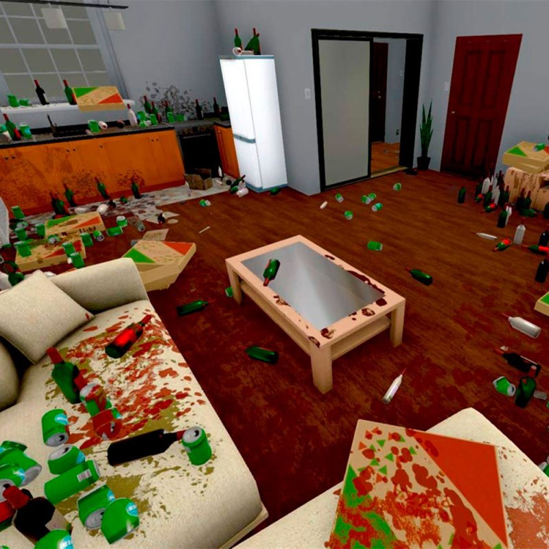 House Flipper NSW