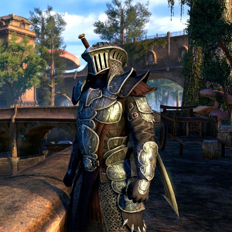 The Elder Scrolls Online Morrowind PS4