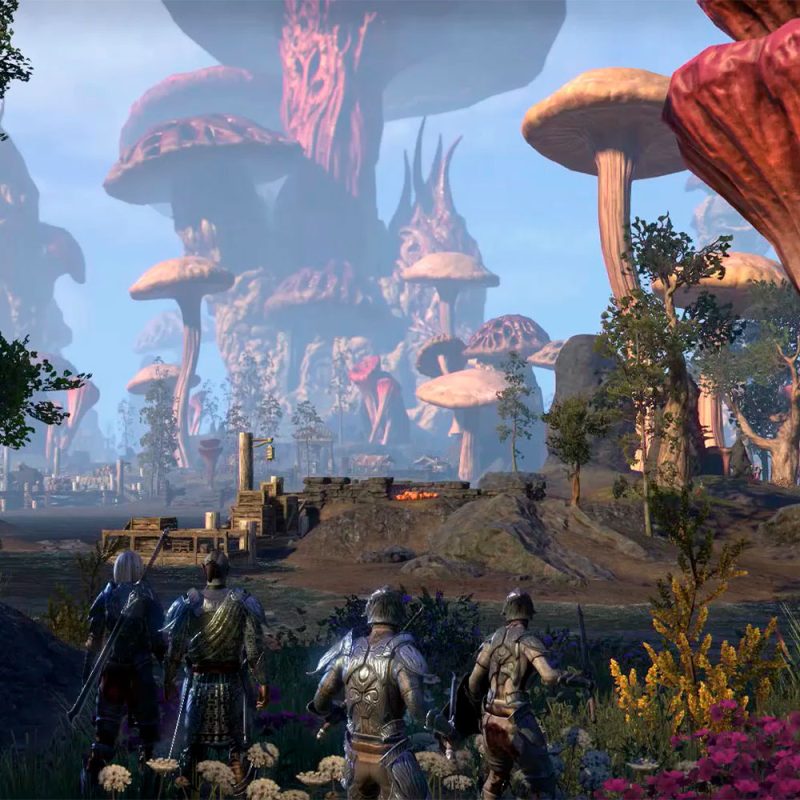 The Elder Scrolls Online Morrowind PS4
