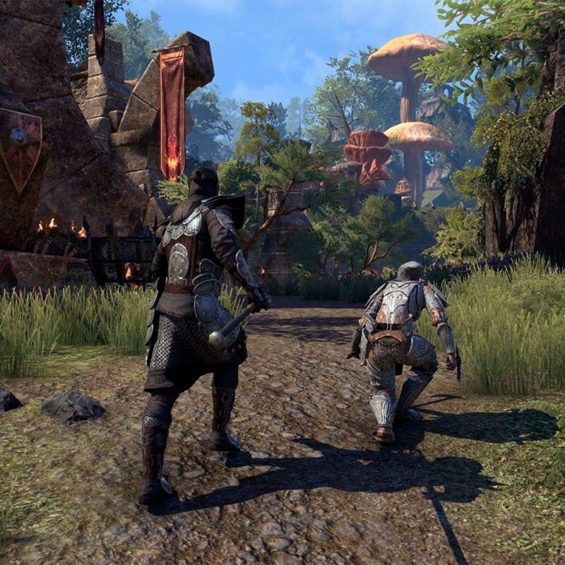 The Elder Scrolls Online Morrowind PS4