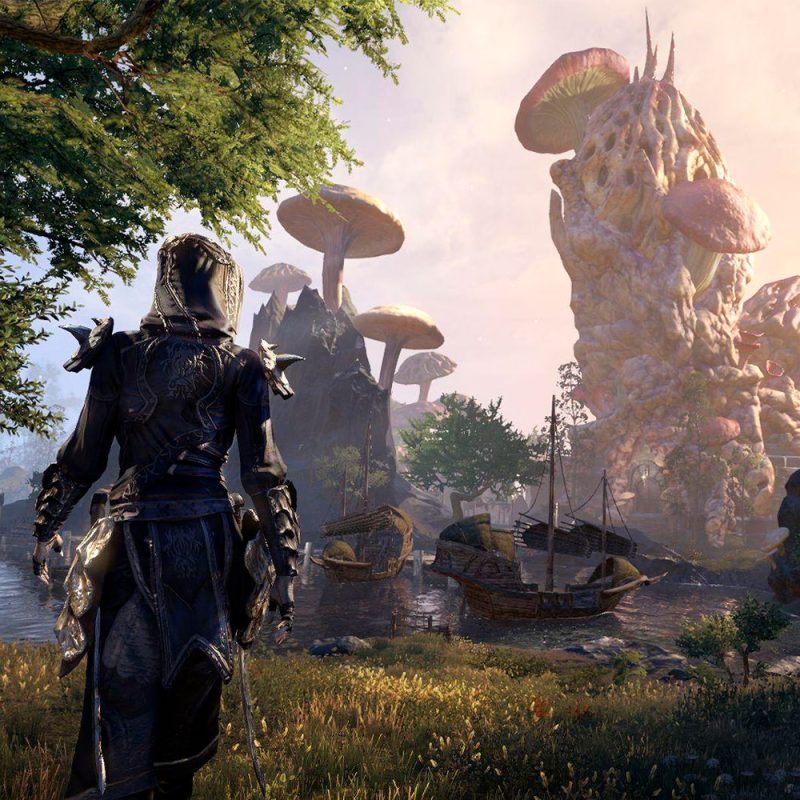 The Elder Scrolls Online Morrowind PS4