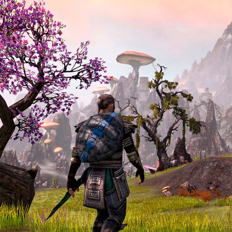 The Elder Scrolls Online Tamriel Unlimited XONE