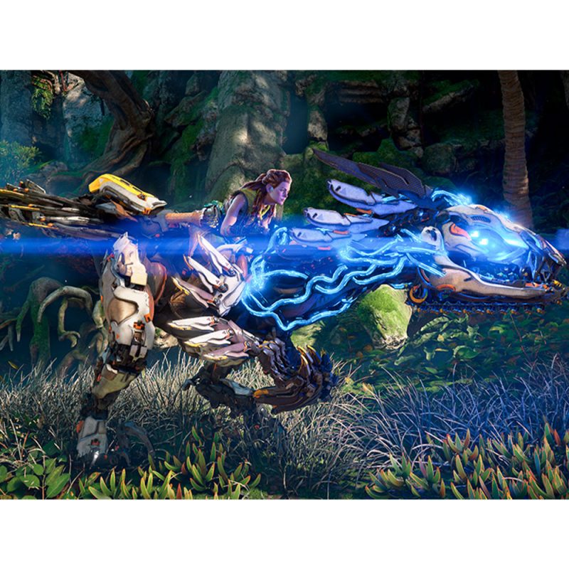 Consola PS5 Horizon Forbidden West Bundle